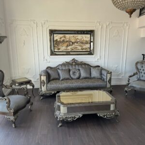 Olimpos Koltuk Takımı